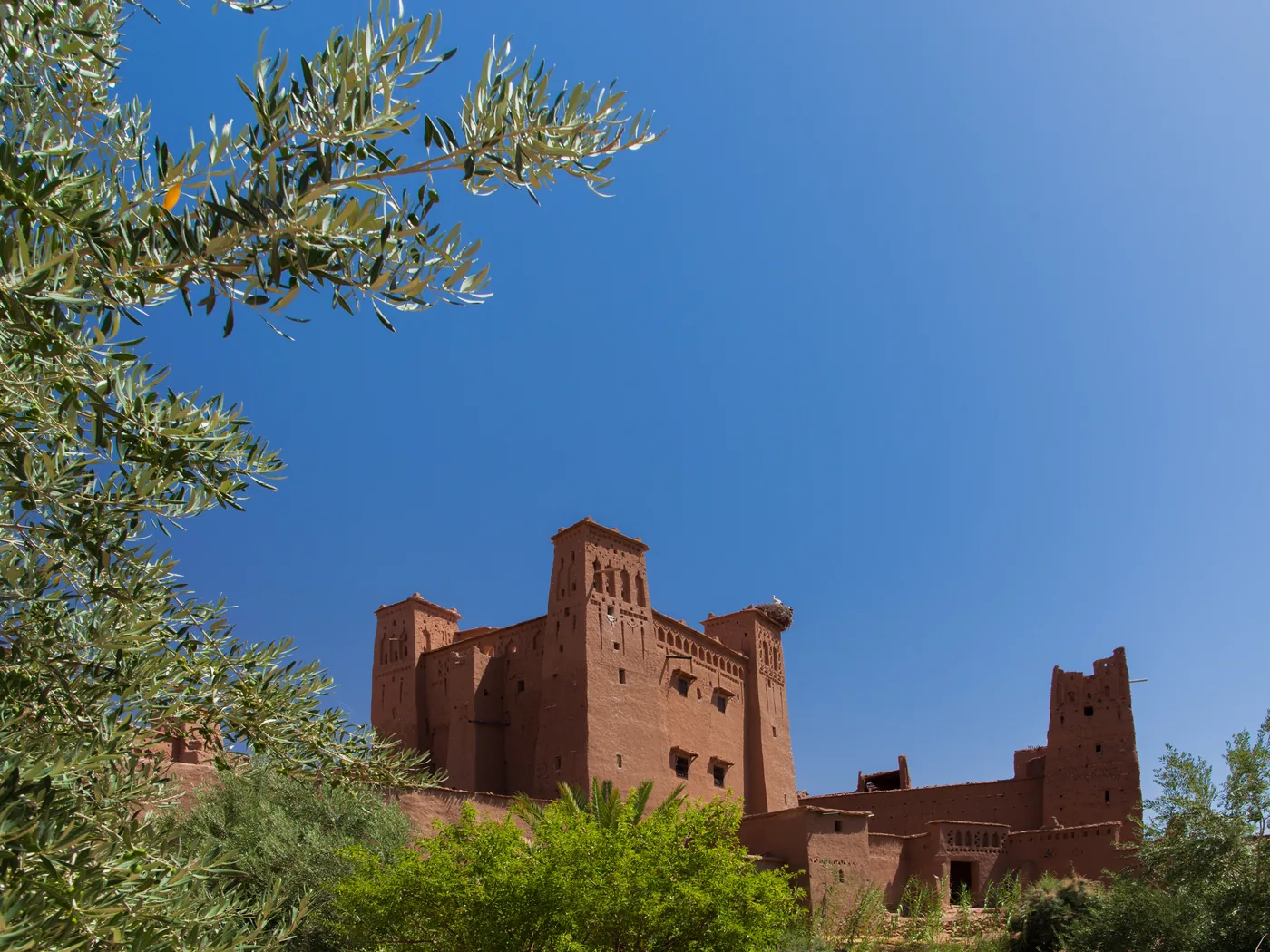 Aït Benhaddou over Ounila-dalen og palmelundene